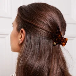 Medium Hair Claw Tortoise - Bee
