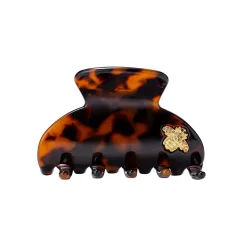 Medium Hair Claw Tortoise - Bee
